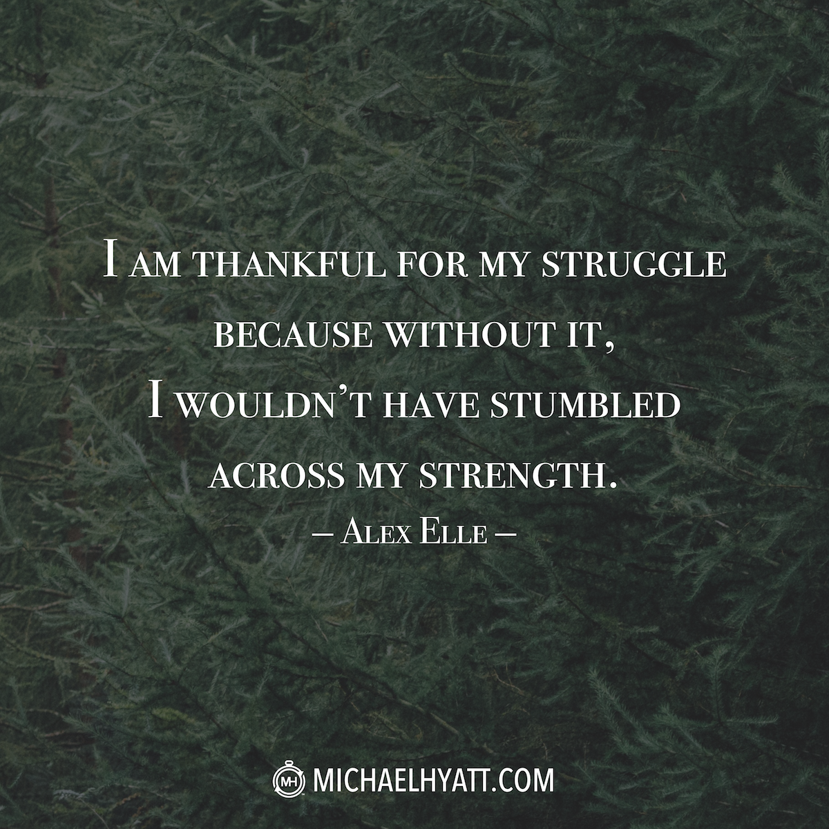 What Does It Take To Be Mentally Strong KOALA ParentingKOALA Parenting
